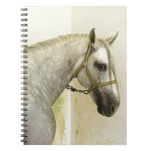 Dapple Gray Andalusië Horse Notitieboek (Voorkant)