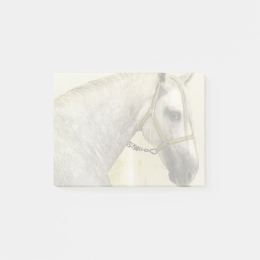 Dapple Gray Andalusië Horse Post-it® Notes (Voorkant)