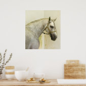 Dapple Gray Andalusië Horse Poster (Keuken)