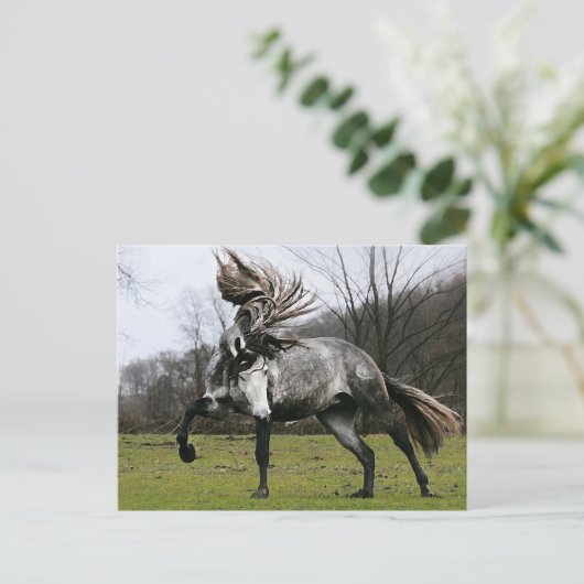 Dapple Gray Briefkaart (Staand voorkant)