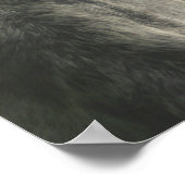 Dapple Gray Draft Horse Eye Poster (Hoek)