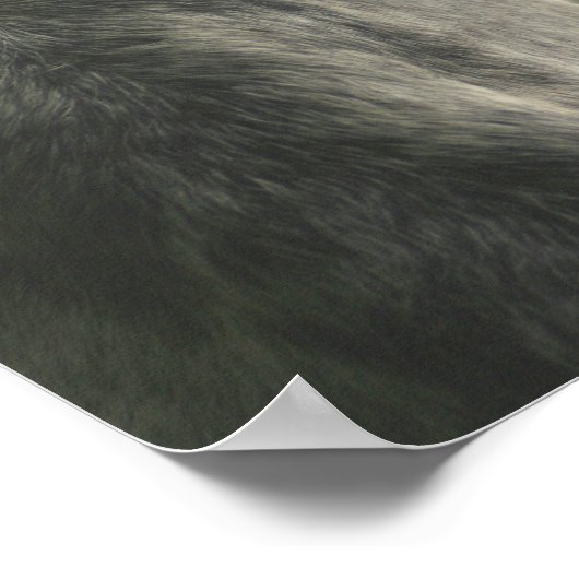 Dapple Gray Draft Horse Eye Poster (Hoek)