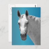 Dapple Gray Horse Briefkaart (Voorkant / Achterkant)