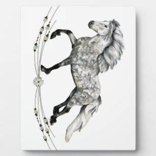 Dapple Grey IJslandse Mare Grá Fotoplaat