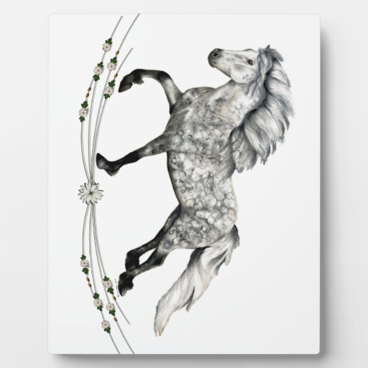 Dapple Grey IJslandse Mare Grá Fotoplaat (Voorkant)