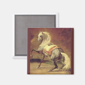 DAPPLED GRAY HORSE MAGNEET (Voorkant / Achterkant)