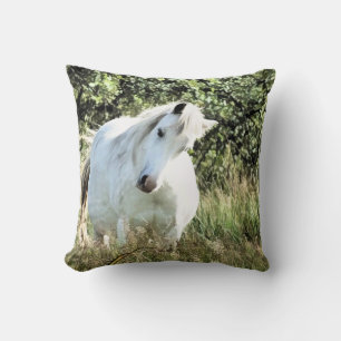 DAPPLED MARE KUSSEN