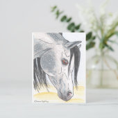 DappledAarabian Mare Briefkaart (Staand voorkant)
