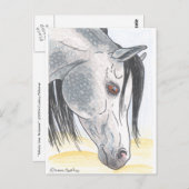 DappledAarabian Mare Briefkaart (Voorkant / Achterkant)