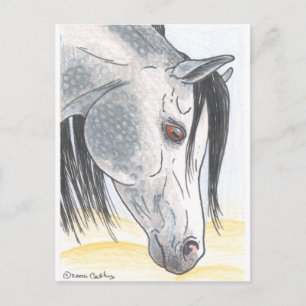 DappledAarabian Mare Briefkaart