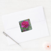 Darcey Bussell Roos #1 Sticker (Envelop)