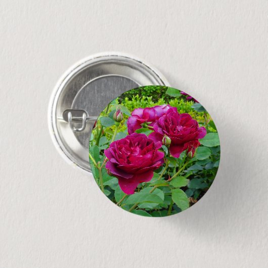 Darcey Bussell Roos #2 Button (Voorkant /achterkant)