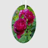 Darcey Bussell Rose #2 Ornement (devant)