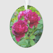 Darcey Bussell Rose #2 Ornement (devant)