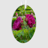 Darcey Bussell Rose #3 Ornement (devant)