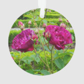 Darcey Bussell Rose #3 Ornement (dos)