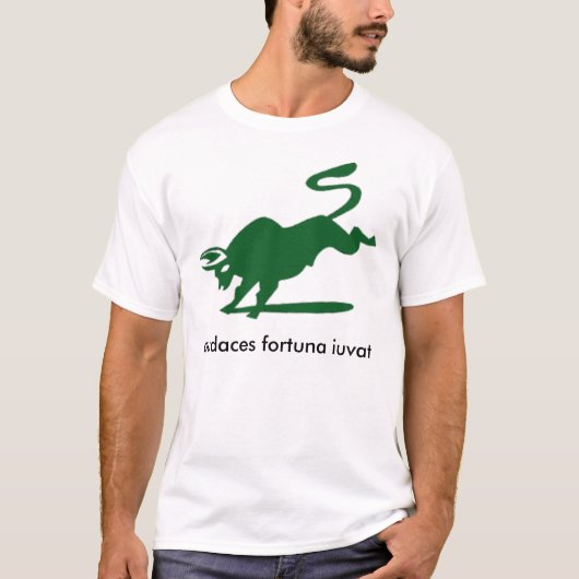 Darden MBA exec 2010 team 5 T-shirt (Voorkant)