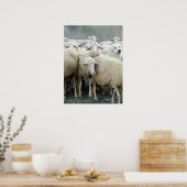 Dare om anders te zijn! Gezegde van schapen ... Poster (Keuken)