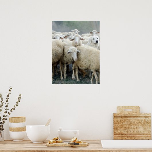 Dare om anders te zijn! Gezegde van schapen ... Poster (Keuken)