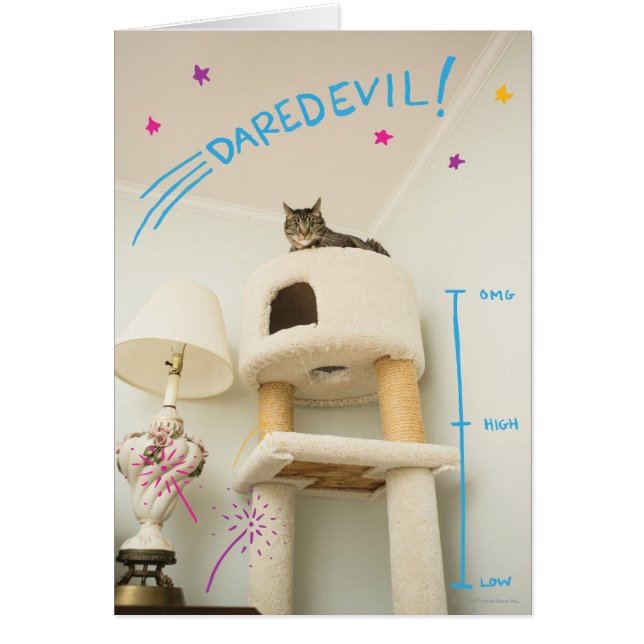 Daredevil Cat (Devant)