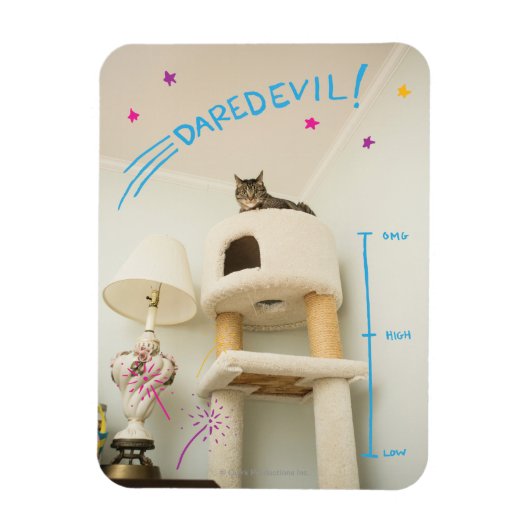 Daredevil Cat Magneet (Verticaal)