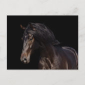 Dark Bay Briefkaart (Voorkant)