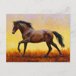 Dark Bay Stallion Horse Galloping Briefkaart