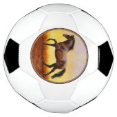 Dark Bay Stallion Horse Galloping Voetbal (Gedraaid)