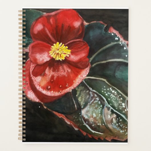 Dark Begonia en aquarelle (Devant)
