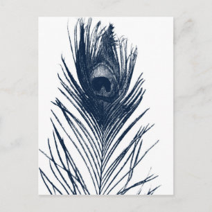 Dark Blue Peacock-Briefkaart Briefkaart