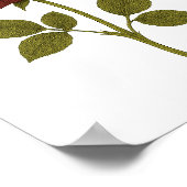 Dark Crimson roos — Rouw Poster (Hoek)