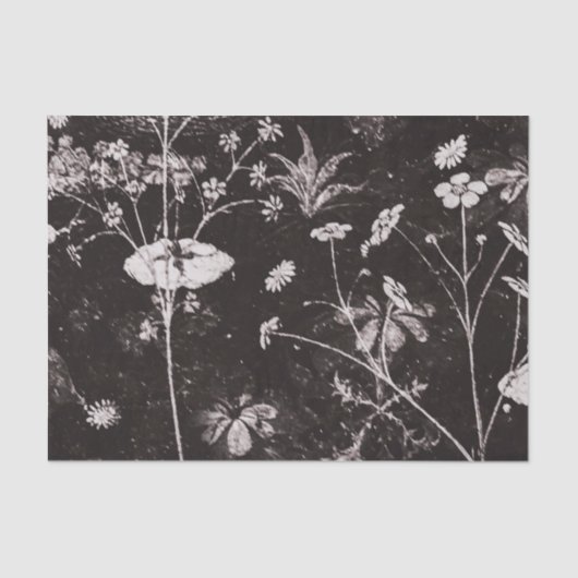 Dark Floral Artwork Tissuepapier (Voorkant)