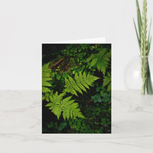 Dark green moody nature theme with ferns kaart (Voorkant)