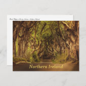 Dark Hedges Carte postale Irlande du Nord (Devant / Derrière)