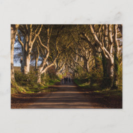 Dark Hedges Ierland Briefkaart