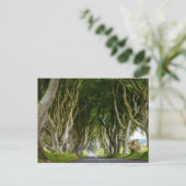 Dark Hedges in Irland Briefkaart (Staand voorkant)