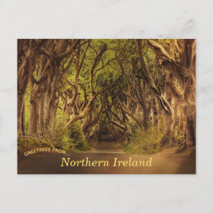 Dark Hedges Noord-Ierland Briefkaart