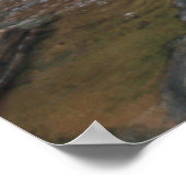 Dark Hollow Falls #4904 Poster (Coin)