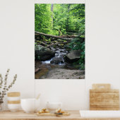 Dark Hollow Falls #4904 Poster (Cuisine)