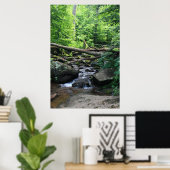 Dark Hollow Falls #4904 Poster (Bureau à domicile)