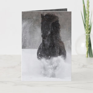 Dark Horse Runs in het Snow II Horse Wenskaart Kaart