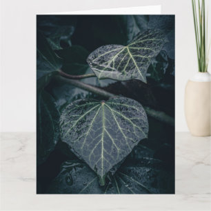 Dark Ivy Natuur Foto Kaart