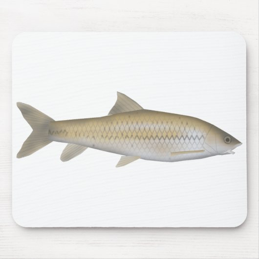 Dark Mahseer Muismat (Voorkant)