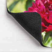 Dark Maroon velvet peonies Muismat (Hoek)