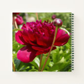 Dark Maroon velvet peonies Notitieboek (Achterkant)