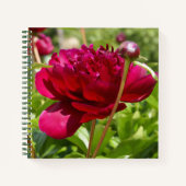 Dark Maroon velvet peonies Notitieboek (Voorkant)