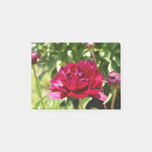 Dark Maroon velvet peonies Post-it® Notes (Voorkant)