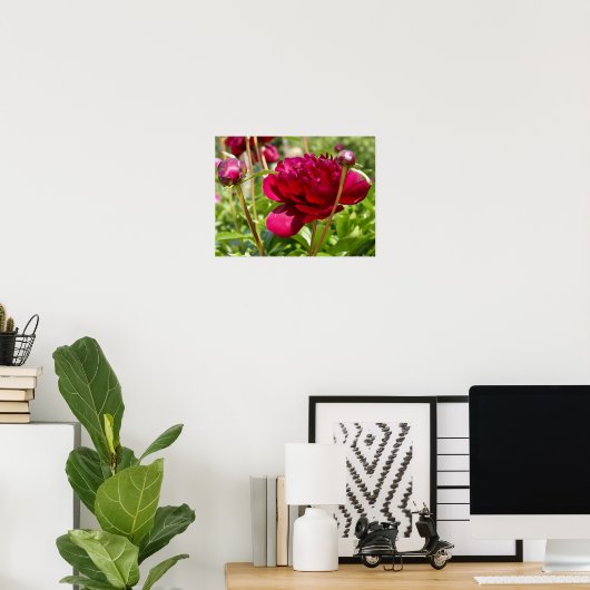 Dark Maroon velvet peonies Poster (Thuiskantoor)