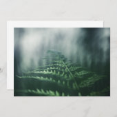 Dark Moody Fern carte photo nature (Devant / Derrière)