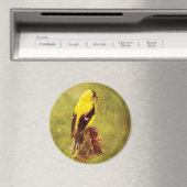 Dark Moody Goldfinch Bird Art Magnet (In Situ (Lave-vaisselle))